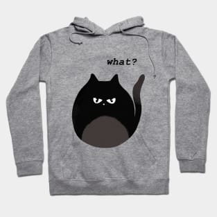 Angry Cat Hoodie